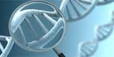 مشخصات ژنتیکی همه مجرمان سابقه‌دار در بانک اطلاعات ژنتیک کشور ثبت می‌شود