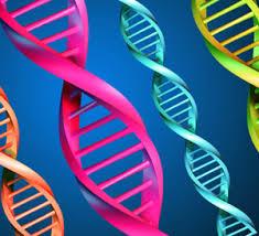 ابداع روش جدید تولید قطعات DNA