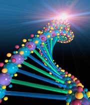 بي ثباتي ژنتيكي و صدمات DNA از دلايل ناباروري مردان است