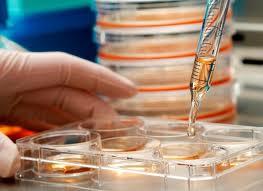 ساخت حسگرهای آمینو اسید برای پیشگیری از بیماری‌های ژنتیکی