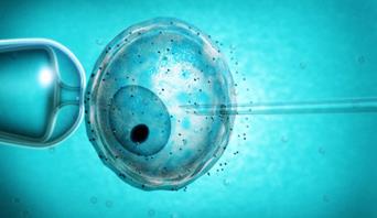 اولین تولد نوزاد سالم توسط روش نوین ساده شده  IVF 