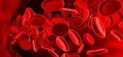 اهمیت و نحوه ذخیره سازی سلول‌های بنیادی خون بندناف
