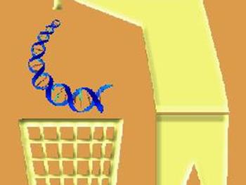  دخالت DNA غیر کد شونده در ابتلا به دیابت نوع 2
