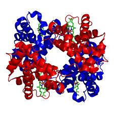 نگاهی به تغییر ساختار پروتئین ها در بیماری پارکینسون 