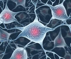 استفاده از سلول های بنیادی برای بهبود ترمیم عصبی
