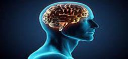 زمان طلایی نجات بیماران سکته مغزی