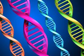 کشف ریسک فاکتورهای جدید ژنتیکی برای سرطان کشنده پوست