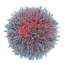 هدف قرار دادن سلول های بنیادی سرطانی با استفاده از نانوذره های پوشیده شده با کیتوسان و بارگیری شده با داروهای شیمی درمانی