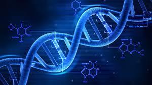 شناسایی ارتباط مولکولی بین آسیب DNA و پیری زودرس