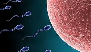 مطالعات نشان می دهد که کیفیت اسپرم با افزایش سن کاهش می یابد