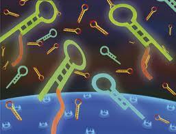 ریز مولکول ها به سلول های بنیادی کمک می کنند به مکان بیماری یا آسیب بروند