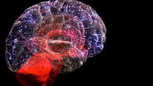سلول های بنیادی عصبی، پیری و آسیب مغزی را کاهش می دهند