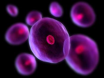 کشف های ژنی نشان می دهد که چگونه سلول های بنیادی فعال می شوند تا به سیستم ایمنی در مبارزه با عفونت کمک کنند