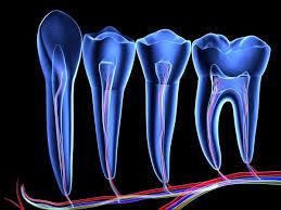 پیوند سلول های پالپ دندانی به ترمیم اعصاب محیطی کمک می کند