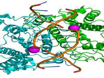 استفاده از نانو ذرات و RNA برای درمان بیماری های ژنتیکی