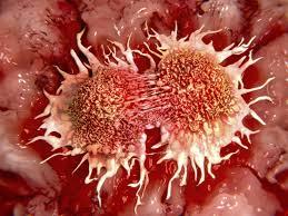 شیوه جدید دفاعی سلول های سرطانی 
