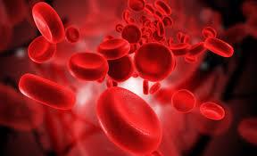 بازبرنامه ریزی سلول های خون به سلول های بنیادی خون ساز در موش