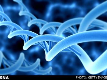   گام نوین محققان دانشگاهی برای درمان‌های جدید بیماری نقص ژنتیکی «ویلسون»