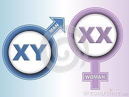 پرده برداری از ابهامات جنسی(XXیا XY) با کشف ژن های دخیل در تکوین جنسی