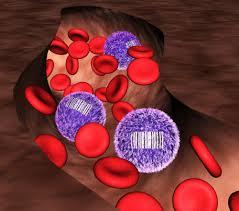 ابزار بارکدگذاری برای سلول های بنیادی که منشا سلول های خونی هستند
