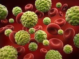 طبقه بندی سلول های سرطانی خونی برای پیش بینی بهتر گسترش بیماری