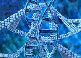 تغییرات اپی ژنتیکی می توانند باعث سرطان شوند.