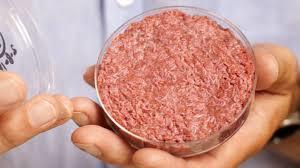 سلول های بنیادی منبعی برای تولید گوشت درآینده
