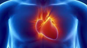 اسپری زیست مواد به قلب، ترمیم قلبی را بعد از انفارکته میوکاردی افزایش می دهد