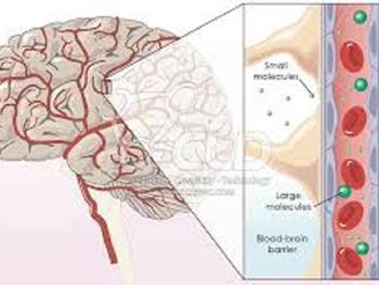 بارکدی ویروسی برای عبور از سد خونی-مغزی در ژن درمانی