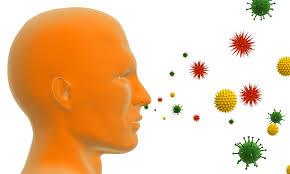 ژن درمانی می تواند آلرژی های شدید را خاموش سازد