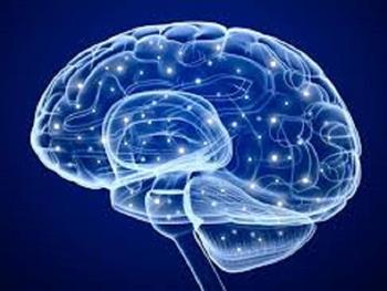 ارتباط بین نورون های زیر صفحه و اختلالات مغزی