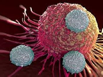 یافتن چگونگی پراکنش سلول های سرطانی در بدن بوسیله کشف سلول های هیبریدی سرطانی