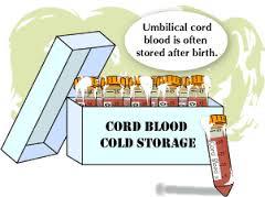 محصول سلول های بنیادی خون بند ناف برای لوکمیا و لنفوما