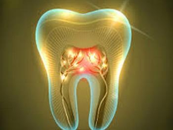 کارآزمایی های بالینی راه را برای بررسی گسترده تر و استفاده از سلول های بنیادی دندانی هموار می کند