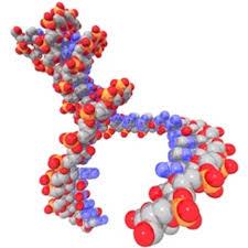 استفاده از ژن درمانی برای اختلالات نادر متابولیکی