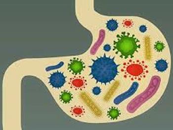 استروژن درمانی طولانی مدت می تواند فعالیت میکروبی لوله گوارش را تغییر دهد