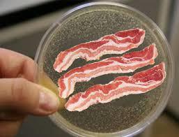 تولید گوشت بدون استفاده از حیوانات و با استفاده از سلول های بنیادی