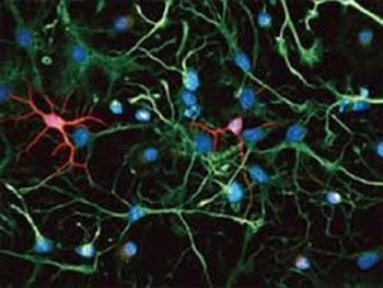 نورون های رشد یافته در آزمایشگاه، تنفس موش ها را بعد از آسیب طناب نخاعی بهبود می بخشند