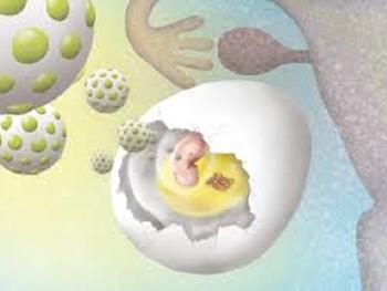 پنج واقعیت در مورد سرطان تخمدان