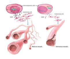 تومورها می توانند به صورت کنترل از راه دور عروق خونی را جذب کنند