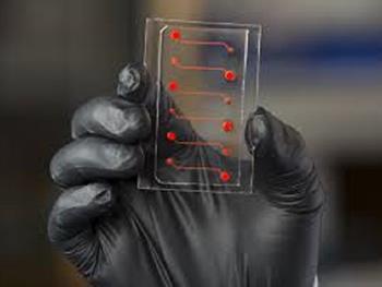 سیستم های organ-on-a-chip سه بعدی، به پژوهش ها در زمینه درمان بیماری های مختلف سرعت می بخشند