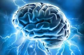 ایجاد مینی مغز در آزمایشگاه برای مطالعه بیماری های نورولوژیک