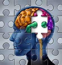 کاهش حافظه بعد از آسیب به سر، ممکن است با آهسته شدن رشد سلول های مغزی مهار شود