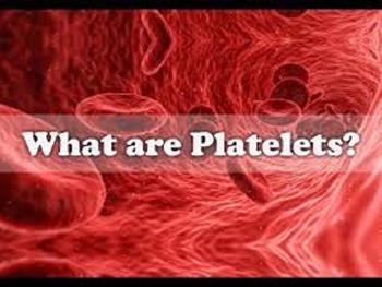 پلاکت های مشتق از سلول های بنیادی می توانند روز منبعی قابل اتکا و مطمئن برای انتقال خون باشند