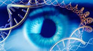 آیا ژن درمانی و سلول درمانی در سال های آینده به بیماران مبتلا به اختلالات ارثی شبکیه کمک خواهد کرد؟