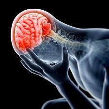اثرات درمانی سلول های بنیادی مزانشیمی جفت انسان روی آسیب مغزی ناشی از تروما (TBI)