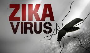چگونه ویروس زیکا منجر به آسیب های مغزی جنینی می شود؟