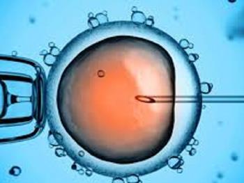 افزایش شانس IVF موفق با تعداد 18 تا 20 سلول تخم 