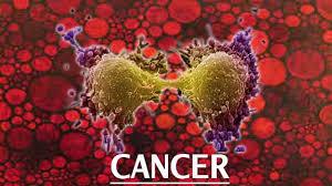 ارتباط دو طرفه بین سلول های سرطانی ممکن است کلیدی برای متاستاز توموری باشد