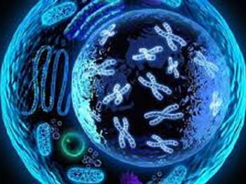 هک کردن بیولوژی سلول برای ایجاد اشکال سه بعدی از بافت های زنده